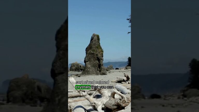 Best Olympic National Park Beach No. 4 #olympic #olympicnationalpark #usnationalparks #bucketlist