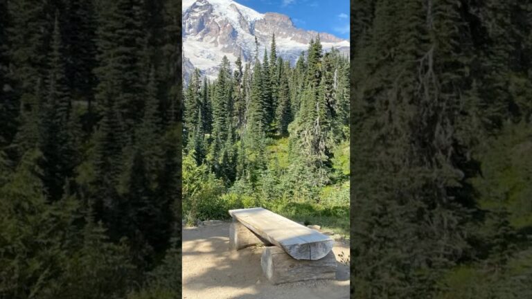 Tip to Visit Mount Rainier National Park No.5 #mtrainier #mountrainier #usnationalparks traveltips