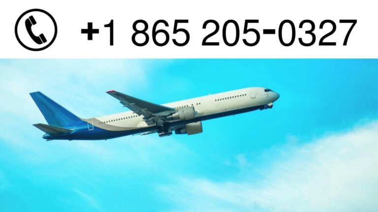 Expedia Customer Service | How to Reach Live Agents for Booking and Refund Help