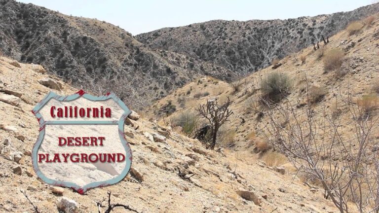 Expedia Road Trip:  Odd Palm Springs