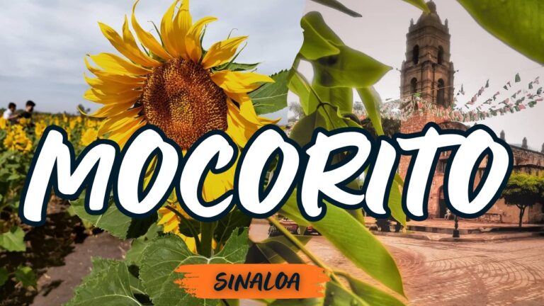 El Pueblo Mágico de los Girasoles | MOCORITO, Sinaloa